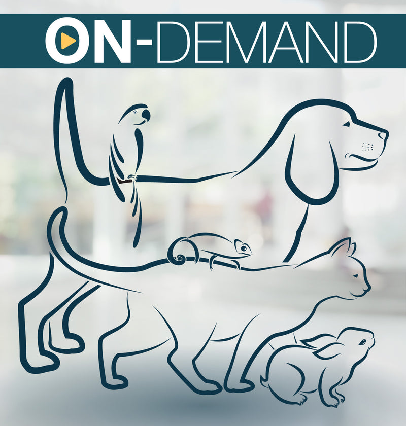 Animals on Campus – On-Demand Training