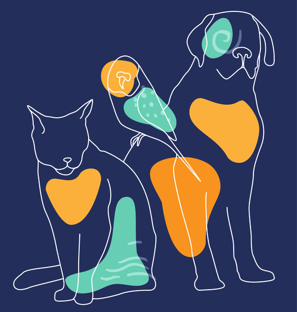 Animals on Campus – January 15, 2026