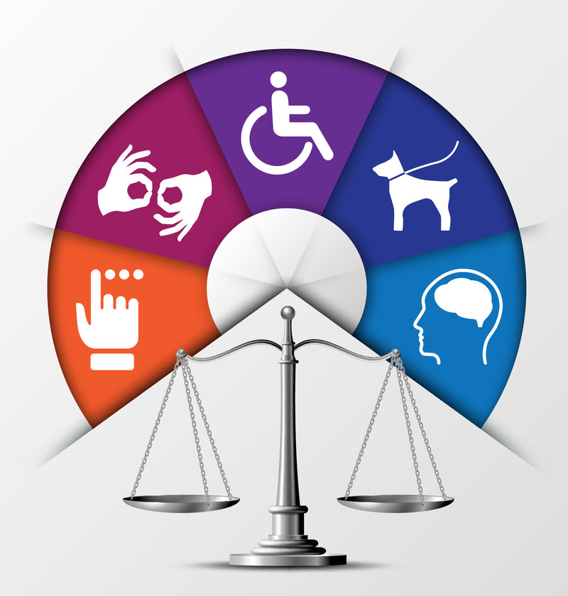 2026 ADA Update & Audit – January 21, 2026