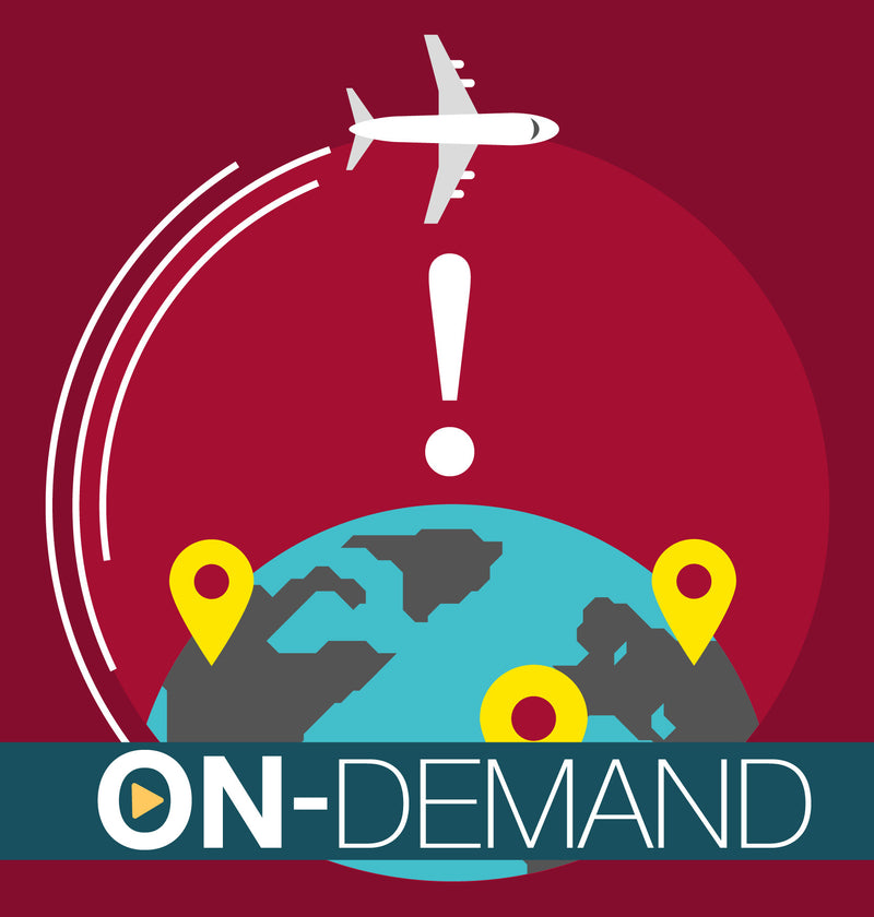 Study Abroad Risk Management – On-Demand Training