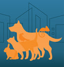 silhouette of dog, cat, rabbit, chameleon and bird on a blue background with outlined student housing builindings.