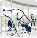 Animals in Public Spaces & Event Venues – September 10, 2026